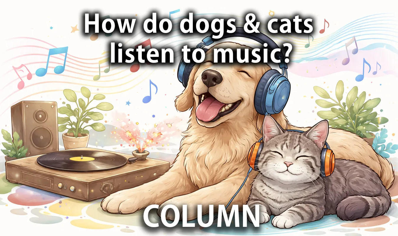 【コラム】 犬と猫は音楽をどう聴くのか：周波数とジャンルから読み解くペットと音の科学